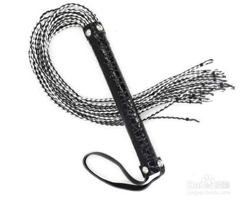 健身鞭子的玩法视频,跟随视频轻松塑形