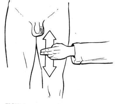 提睾反射视频,揭秘人体生理奥秘的神奇反应