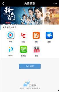 在线小视频免费,免费小视频带你领略世界精彩瞬间