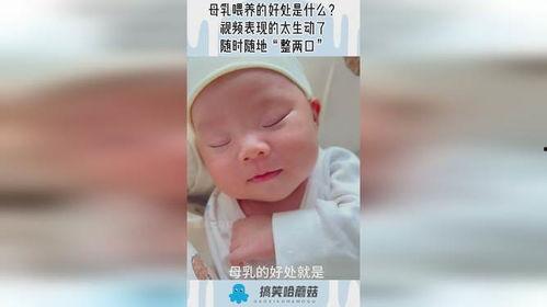 母乳喂养视频播放,育儿路上的温馨指南