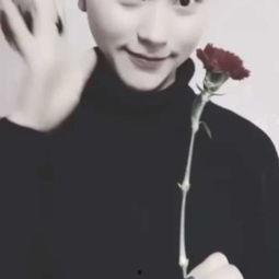 子衿舞蹈视频,古典与现代交融的视觉盛宴