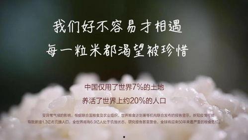 生命1视频,生命1视频深度解析